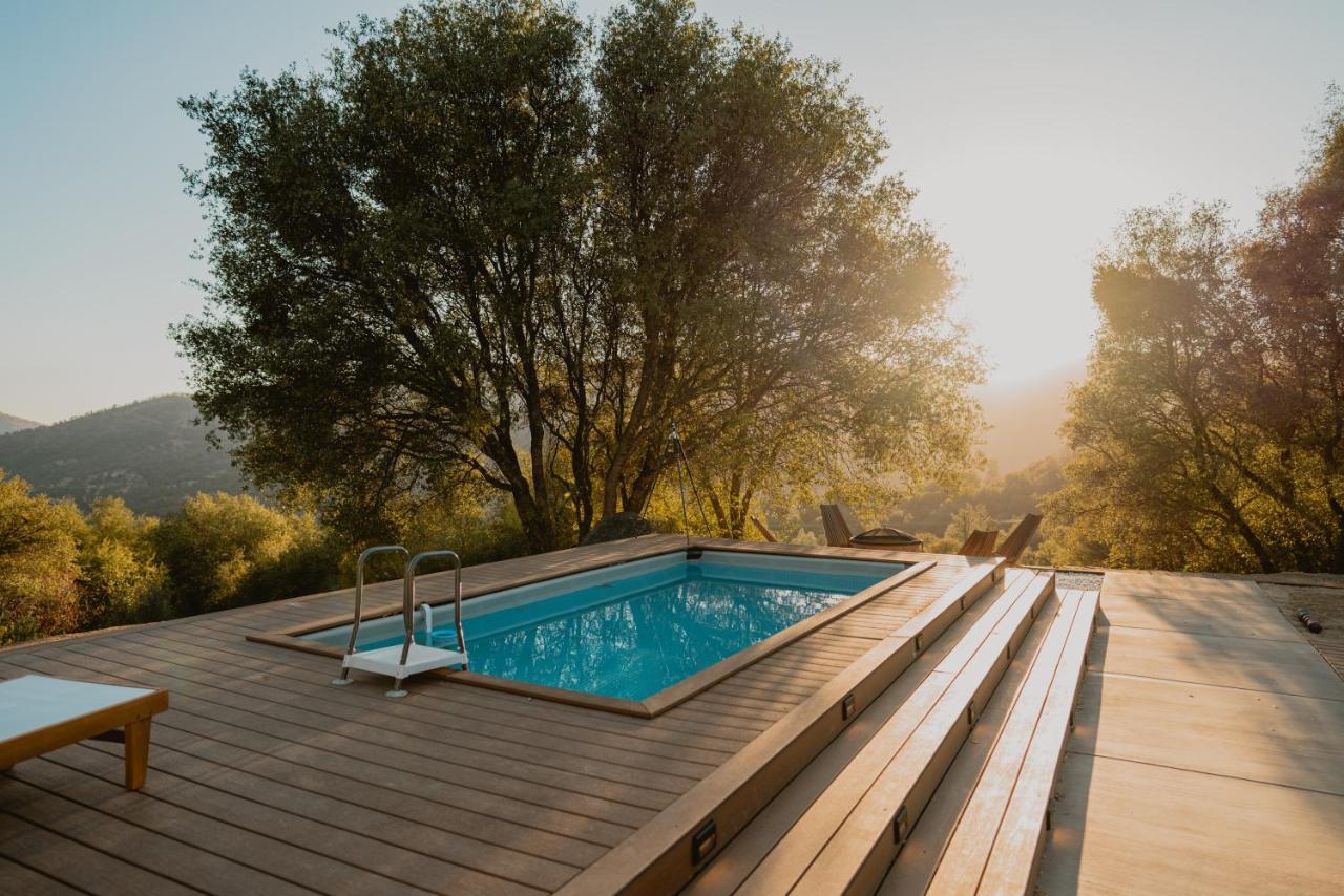 Boho Chic Oasis By Casa Oso With Pool, Spa And Views Ahwahnee Exteriör bild
